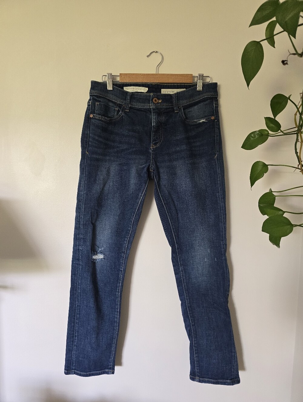 Pilcro And The Letterpress Anthropologie Size 28 Slim Boyfriend Jeans
